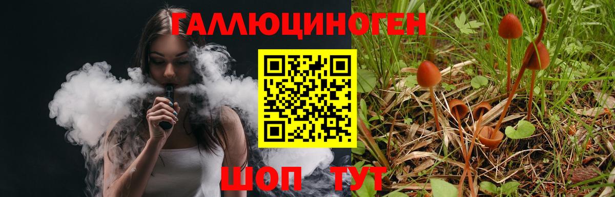 Галлюциногенные грибы Psilocybe Чебаркуль